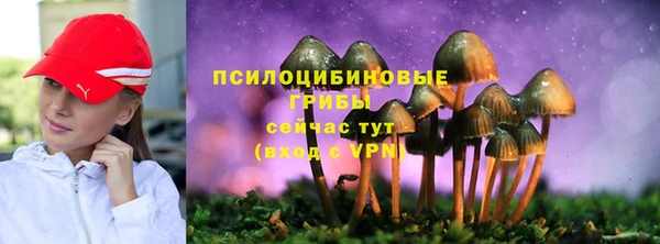 круглые Белокуриха